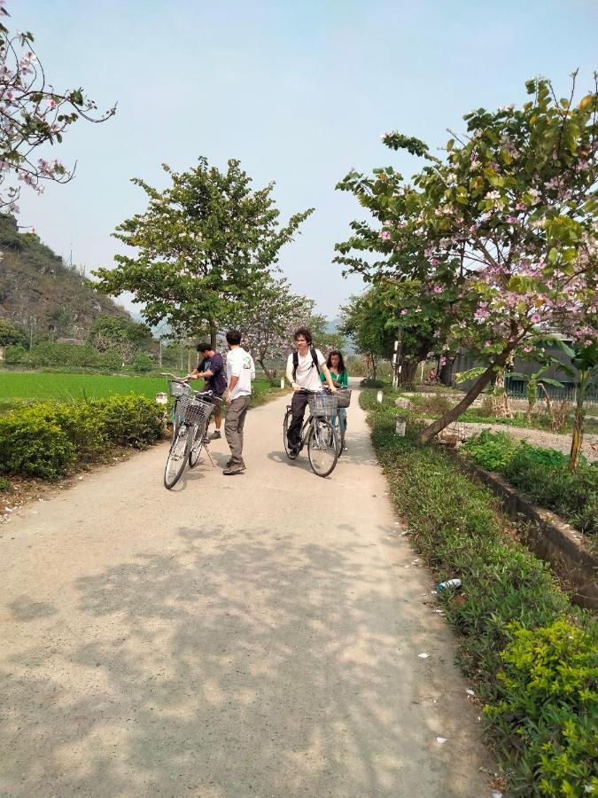 Tam Coc Golden Sun Homestay Ninh Binh Exterior photo